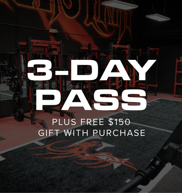 3-Day Pass + Free Gift